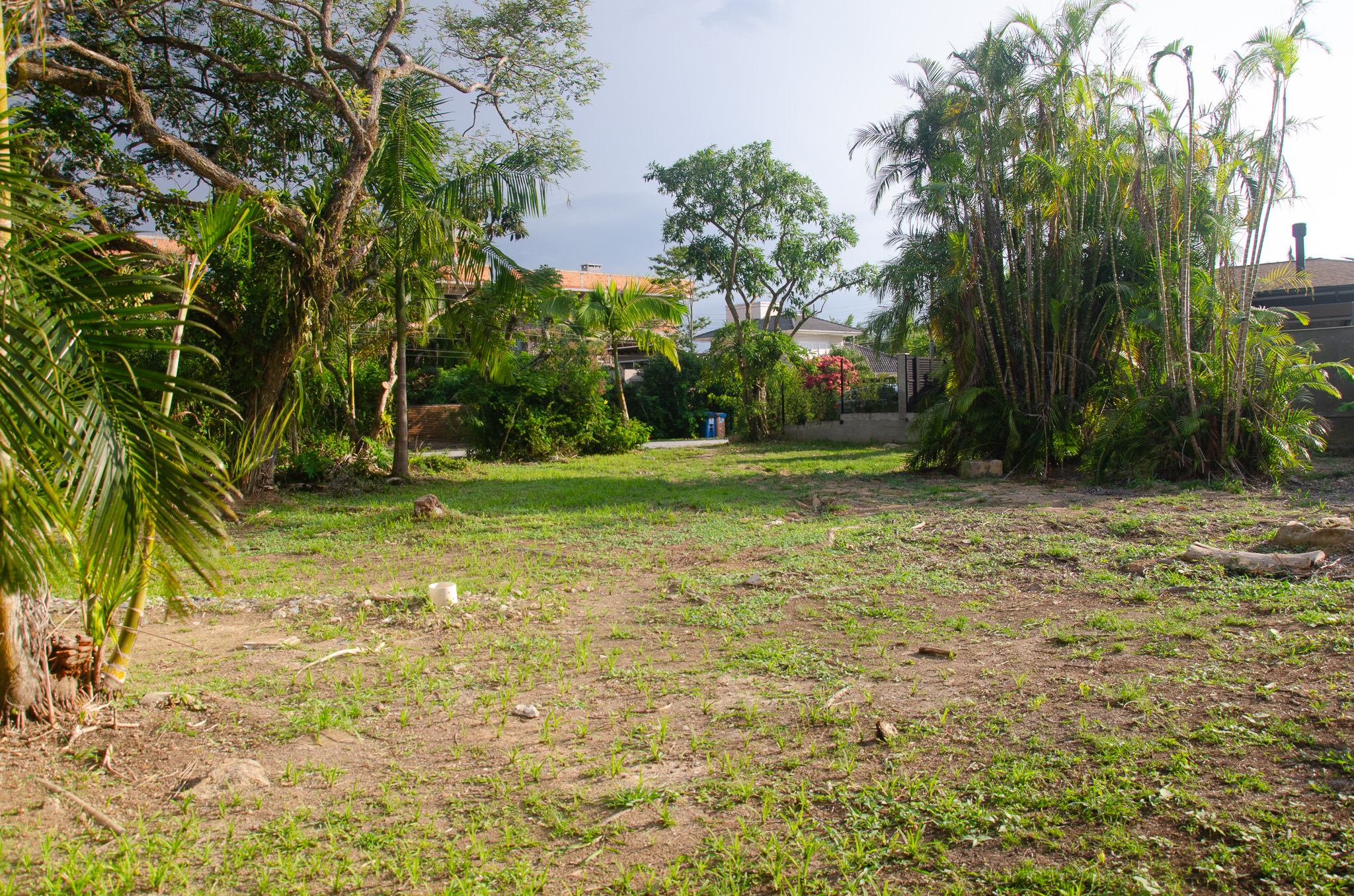 C13-Terreno unico