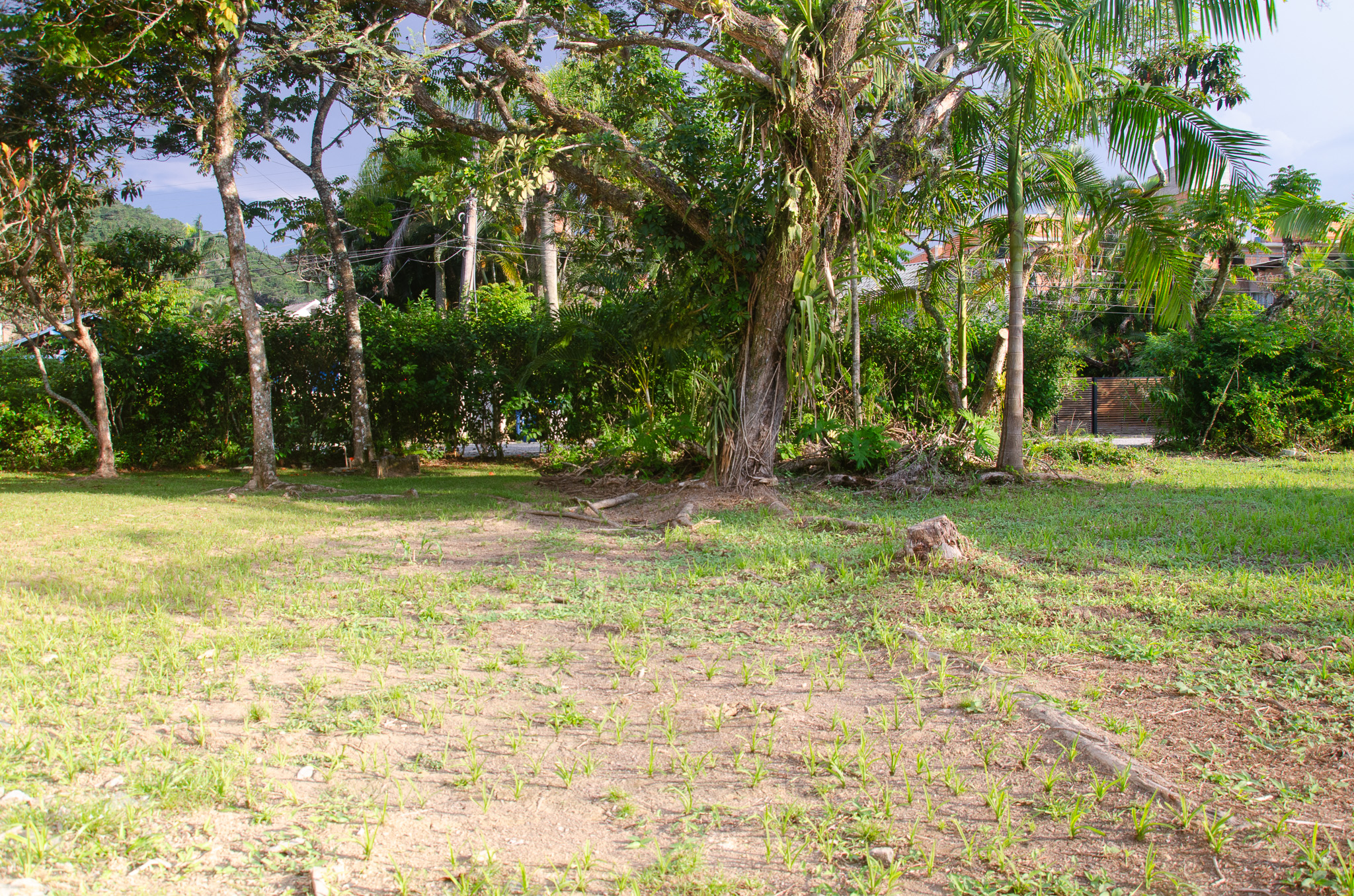 C13-Terreno unico