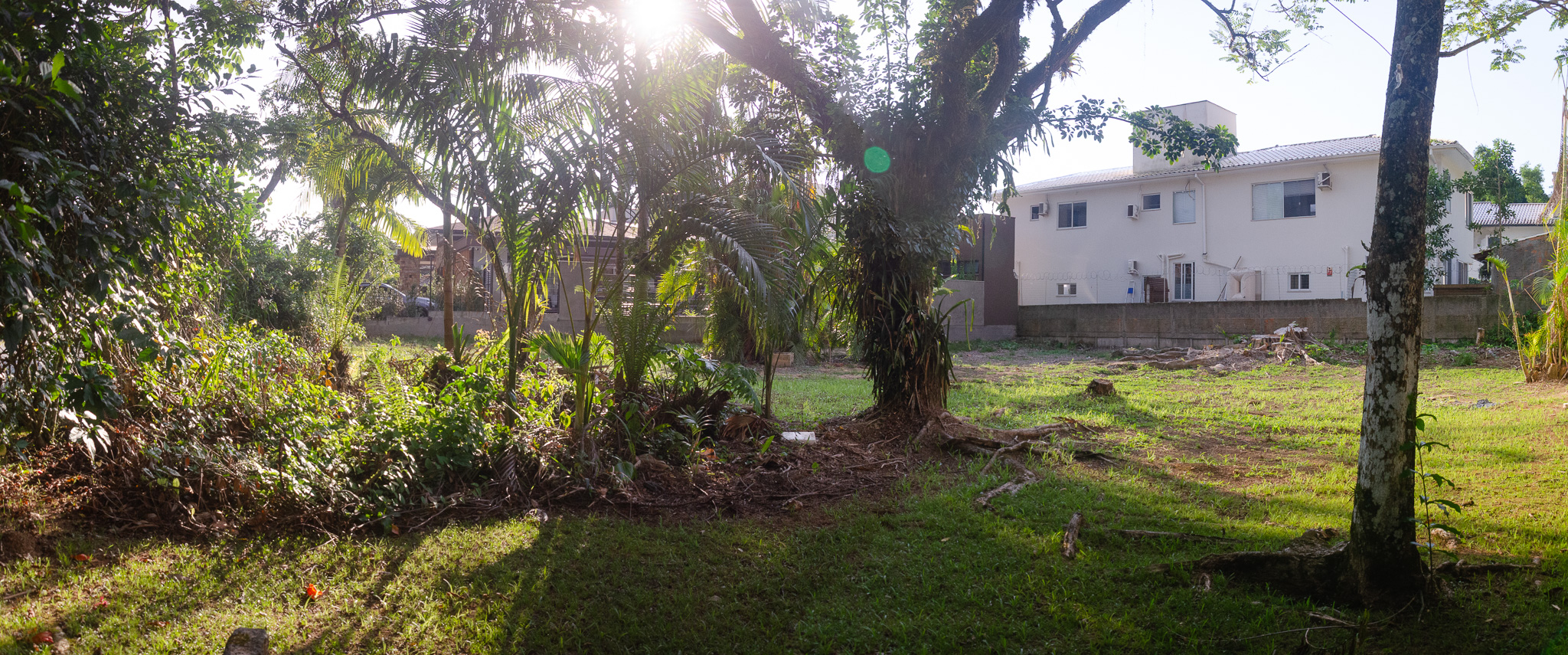 C13-Terreno unico