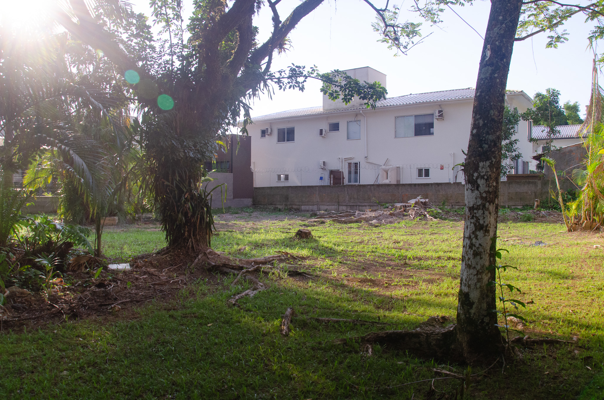 C13-Terreno unico