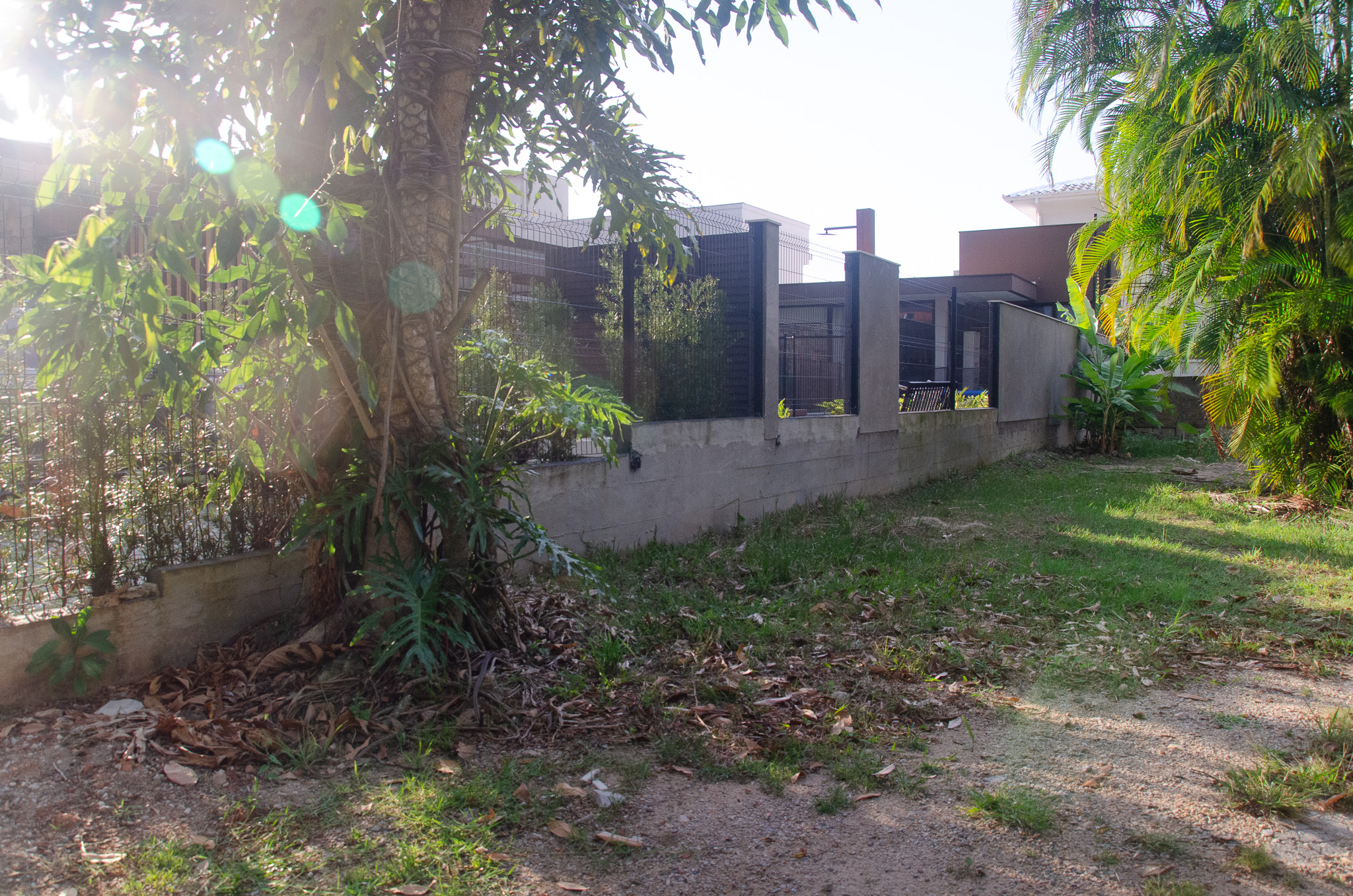 C13-Terreno unico
