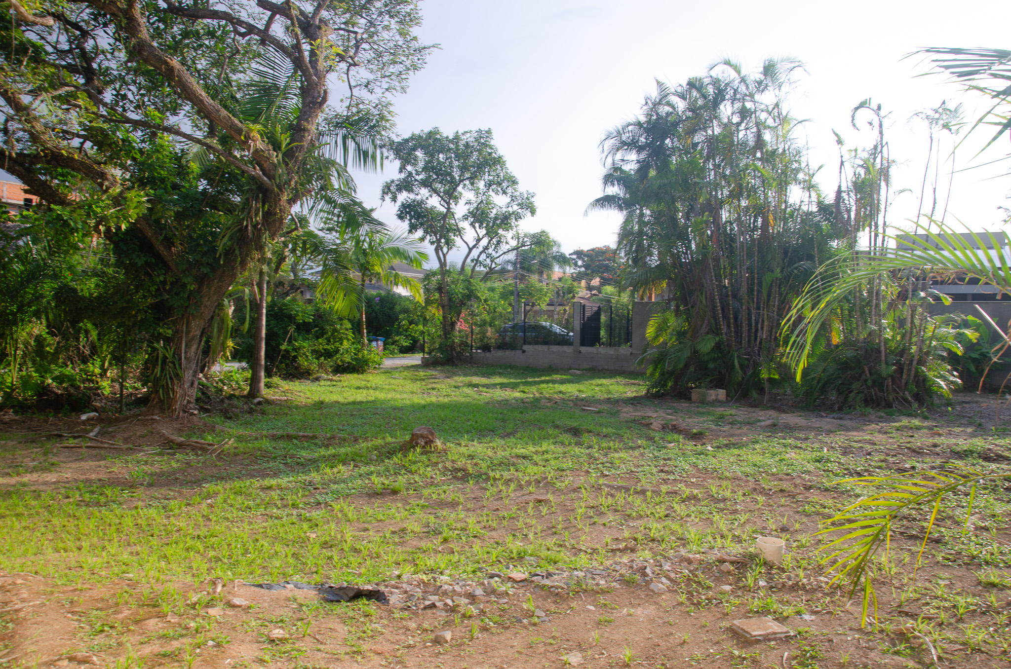 C13-Terreno unico
