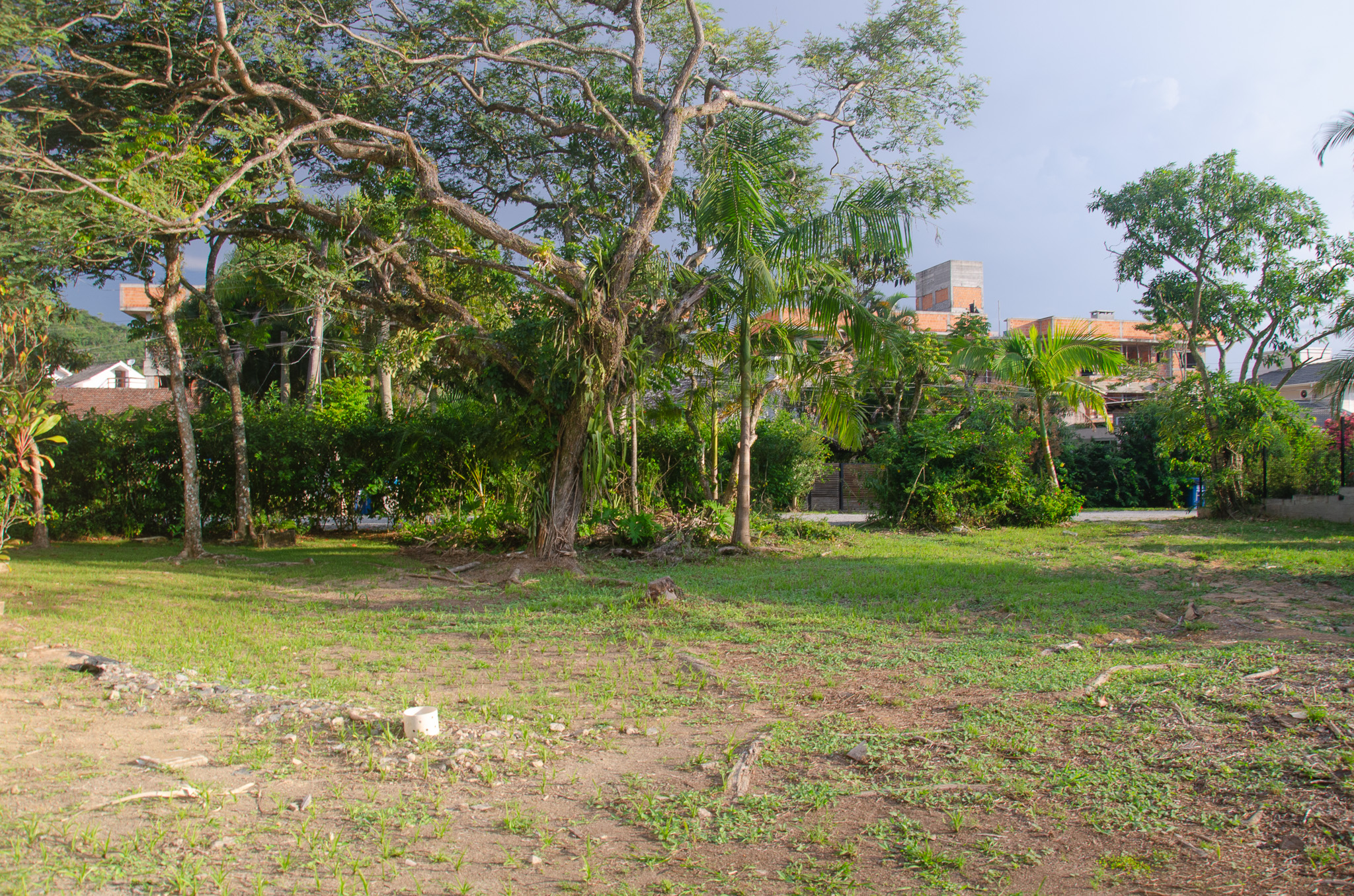 C13-Terreno unico